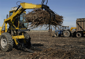 Customised sugar cane loaders offer greater efficiency and reliability for Egypt’s Sugar and Integrated Industries Company